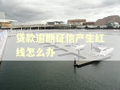 贷款逾期征信产生红线怎么办