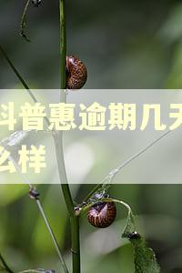 即科普惠逾期几天会怎么样