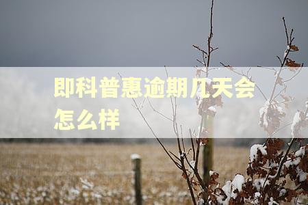 即科普惠逾期几天会怎么样