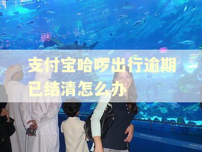 支付宝哈啰出行逾期已结清怎么办
