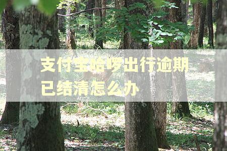 支付宝哈啰出行逾期已结清怎么办
