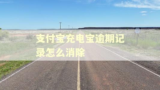 支付宝充电宝逾期记录怎么消除 支付宝充电宝逾期记录怎么消除