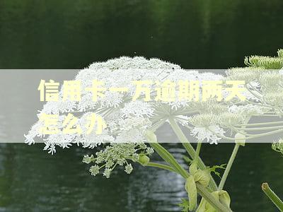 信用卡一万逾期两天怎么办