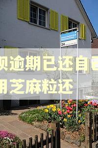 借呗逾期已还自己怎么用芝麻粒还