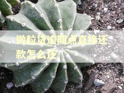 微粒贷逾期点直接还款怎么还