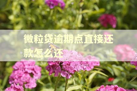 微粒贷逾期点直接还款怎么还