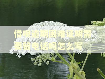 借呗逾期困难证明需要留电话吗怎么写