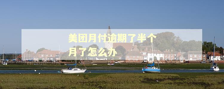 美团月付逾期了半个月了怎么办