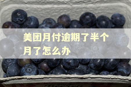 美团月付逾期了半个月了怎么办