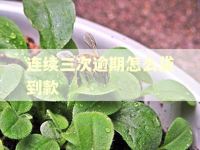 连续三次逾期怎么贷到款