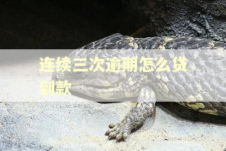 连续三次逾期怎么贷到款