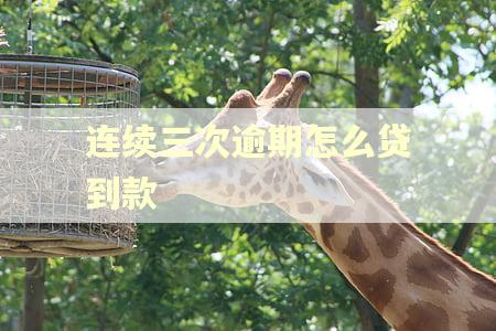 连续三次逾期怎么贷到款