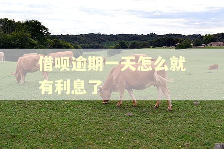 借呗逾期一天怎么就有利息了