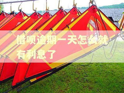 借呗逾期一天怎么就有利息了