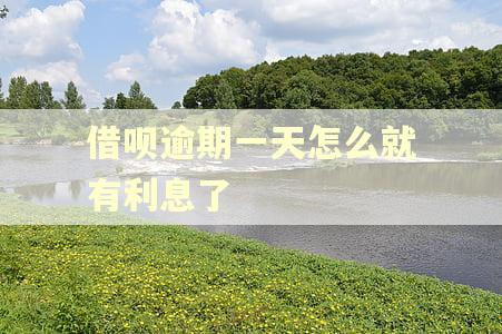 借呗逾期一天怎么就有利息了
