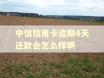 中信信用卡逾期4天还款会怎么样啊