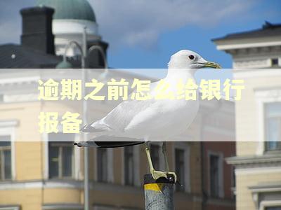 逾期之前怎么给银行报备
