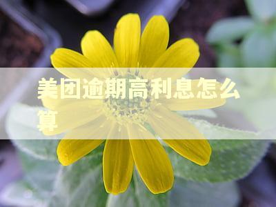 美团逾期高利息怎么算