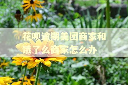 花呗逾期美团商家和饿了么商家怎么办
