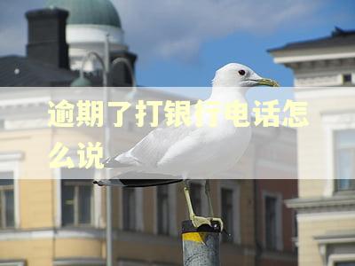 逾期了打银行电话怎么说