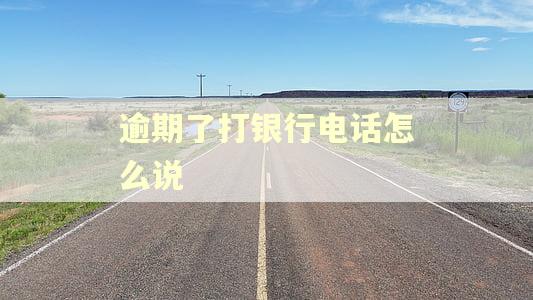 逾期了打银行电话怎么说