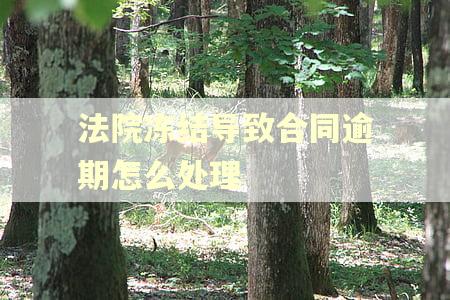 法院冻结导致合同逾期怎么处理 法院冻结导致合同逾期怎么处理