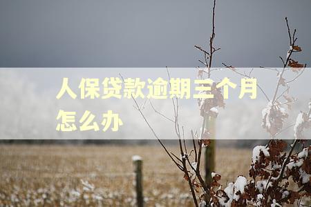 人保贷款逾期三个月怎么办