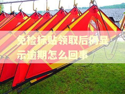 免检标贴领取后仍显示逾期怎么回事