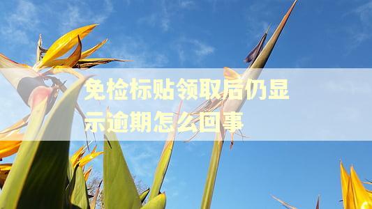 免检标贴领取后仍显示逾期怎么回事