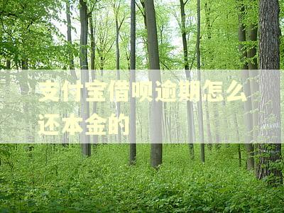 支付宝借呗逾期怎么还本金的