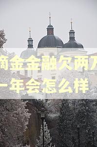滴滴金金融欠两万逾期一年会怎么样