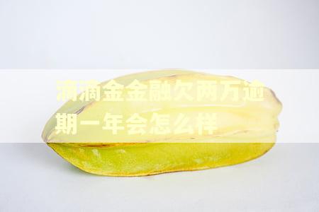 滴滴金金融欠两万逾期一年会怎么样
