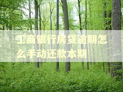 工商银行房贷逾期怎么手动还款本期