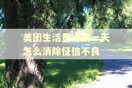 美团生活费逾期一天怎么消除征信不良