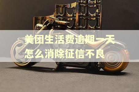 美团生活费逾期一天怎么消除征信不良