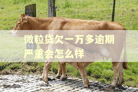 微粒贷欠一万多逾期严重会怎么样