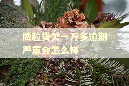微粒贷欠一万多逾期严重会怎么样