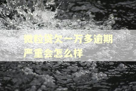 微粒贷欠一万多逾期严重会怎么样