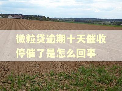 微粒贷逾期十天催收停催了是怎么回事 微粒贷逾期十天催收停催了是怎么回事