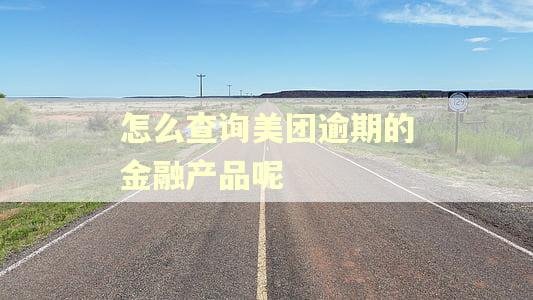 怎么查询美团逾期的金融产品呢