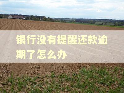 银行没有提醒还款逾期了怎么办