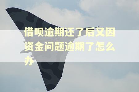 借呗逾期还了后又因资金问题逾期了怎么办