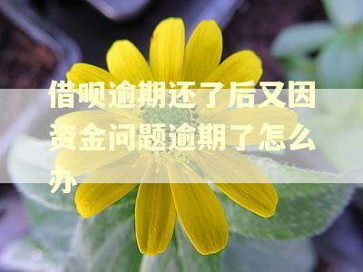 借呗逾期还了后又因资金问题逾期了怎么办