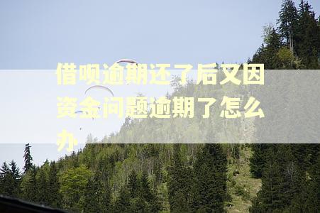 借呗逾期还了后又因资金问题逾期了怎么办