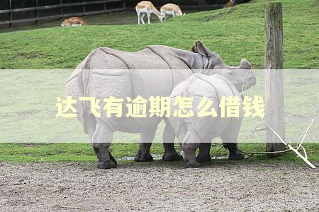 达飞有逾期怎么借钱
