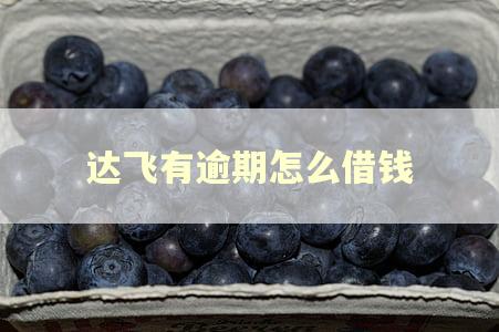 达飞有逾期怎么借钱