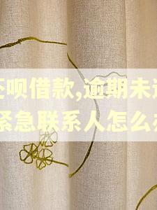 还呗借款,逾期未还,紧急联系人怎么办