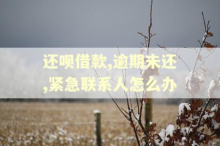还呗借款,逾期未还,紧急联系人怎么办