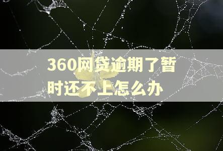 360网贷逾期了暂时还不上怎么办