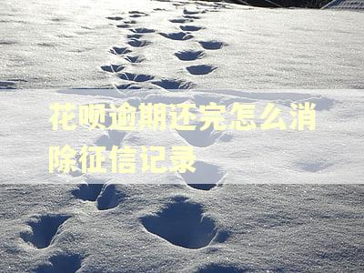 花呗逾期还完怎么消除征信记录 花呗逾期还完怎么消除征信记录